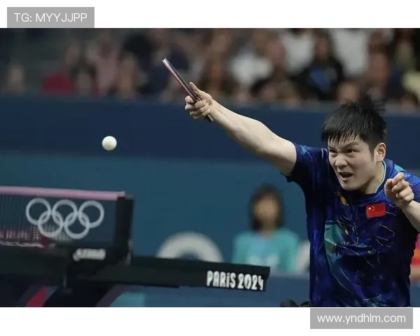 樊振东：从少年天才到世界乒坛霸主的成长之路与未来挑战