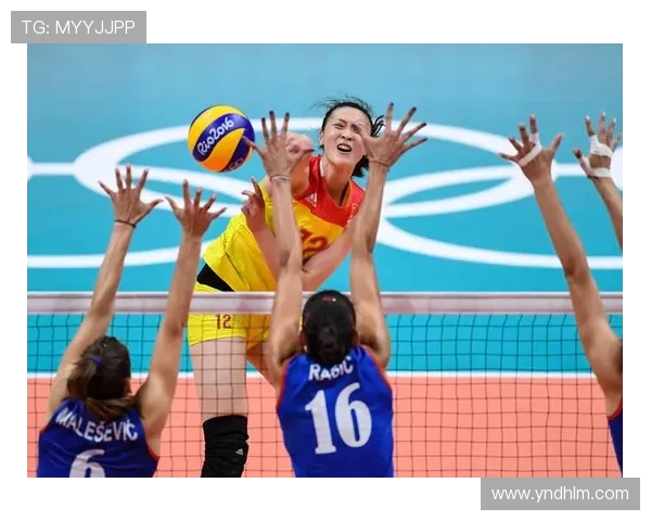 上海排球队近期表现分析与未来展望聚焦排球运动的热潮与挑战