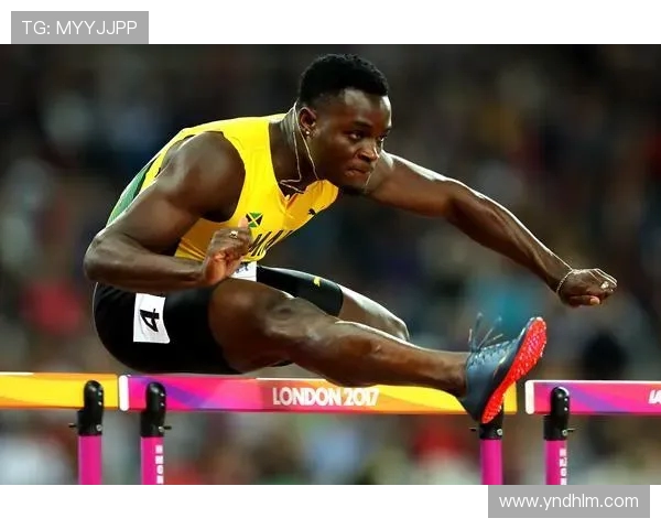 专访赵军：揭示网球界成功背后的秘密与奋斗历程