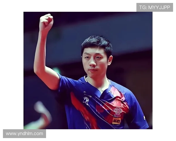 乒乓球状态排行榜揭晓上海乒乓球队荣获第五名佳绩