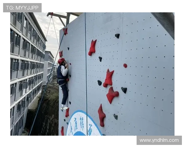 南京攀岩队近期状态深度对比与分析揭示训练成果与未来挑战