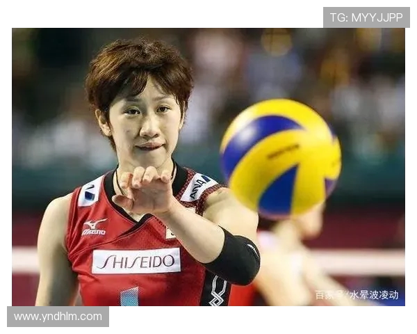 武汉排球队的实力分析与发展潜力探讨之路