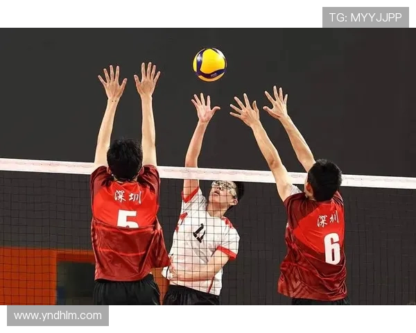 深圳排球队的逆袭之路:从默默无闻到全国瞩目的排球传奇 深圳排球队的逆袭之路:从默默无闻到全国瞩目的排球传奇