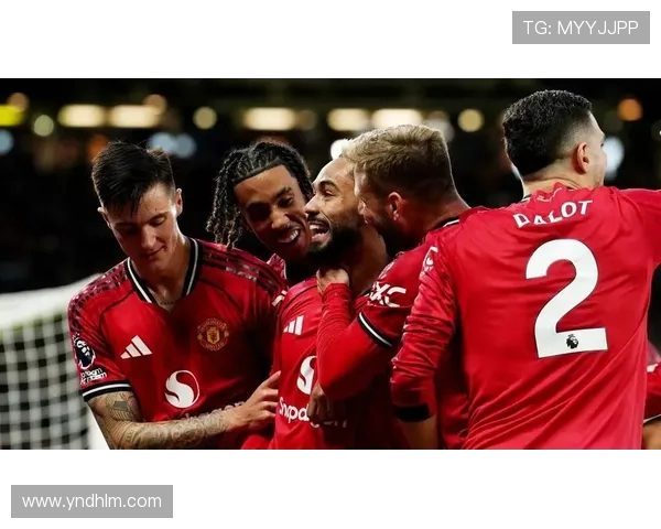 2018年曼联与埃弗顿精彩对决录像回顾及赛后分析 2018年曼联与埃弗顿精彩对决录像回顾及赛后分析